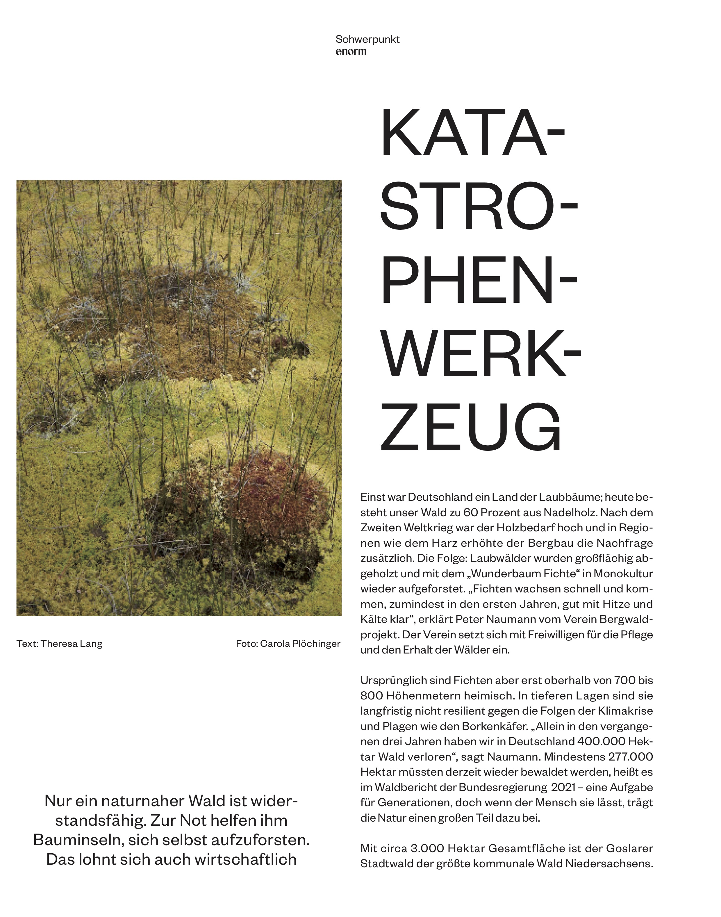 Enorm Magazin Tearsheet Bauminseln with image by Carola Plöchinger