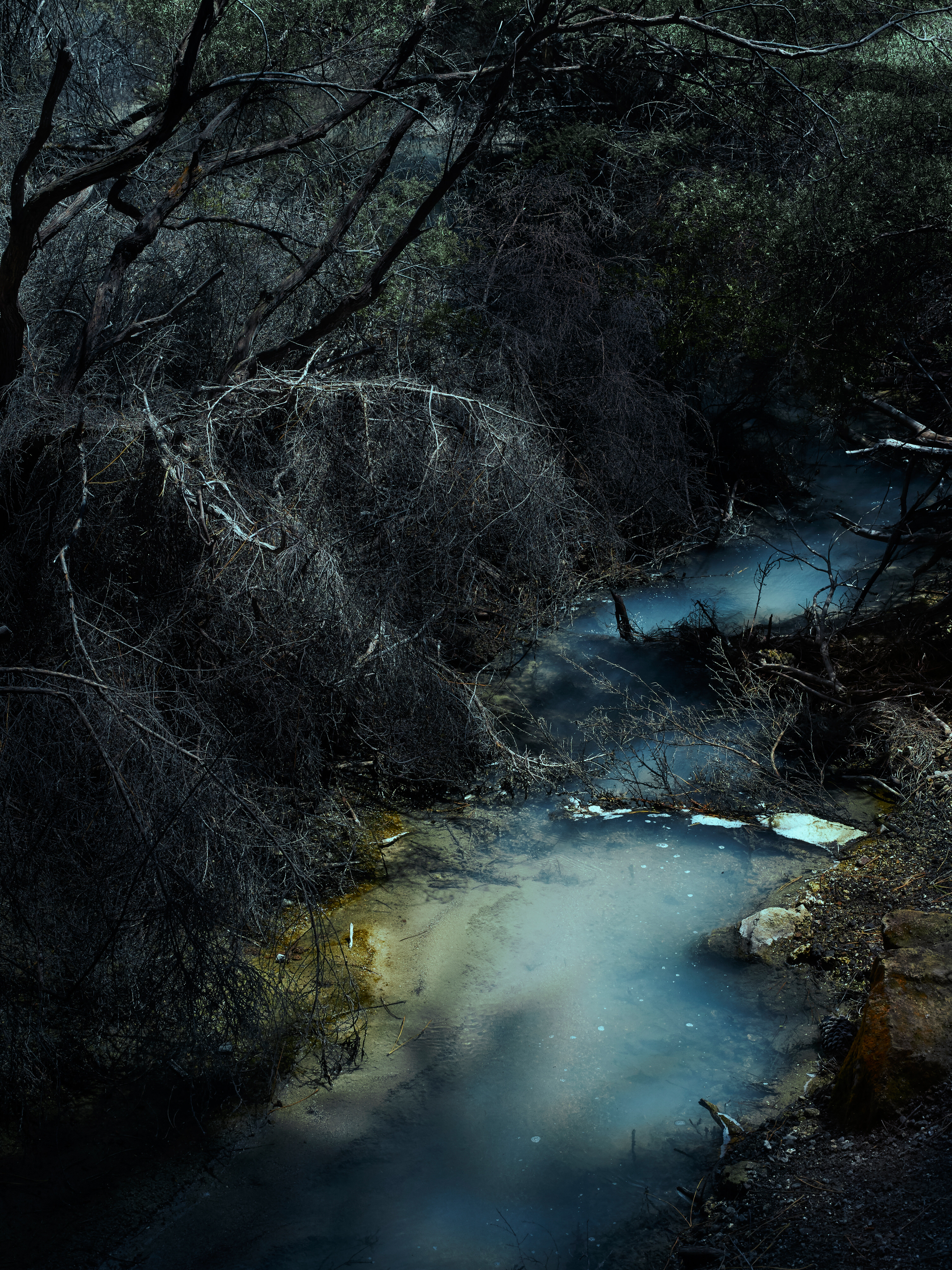 Rays of light fall through dark trees onto a small stream of geothermal water in an interesting blueish colour.